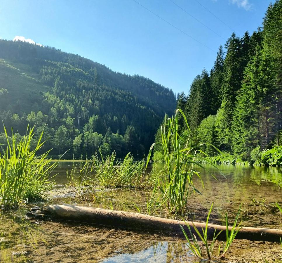 Das Geringer Schladming Eksteriør bilde